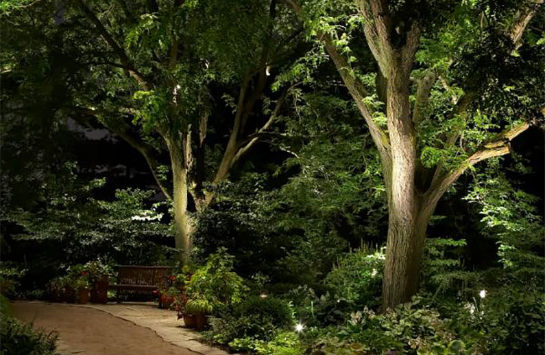 Stylish outdoor hanging lights enhancing backyard entertainment space in Colorado.